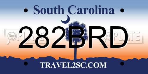282BRD South Carolina License Plate