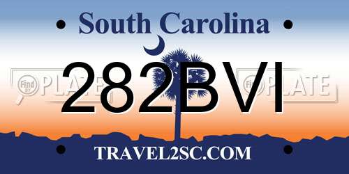 282BVI South Carolina License Plate