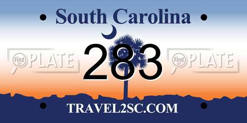 283 South Carolina License Plate