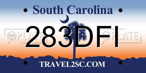 283DFI South Carolina License Plate