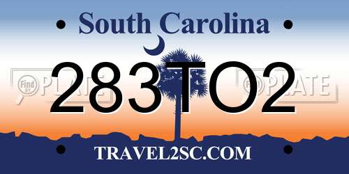 283TO2 South Carolina License Plate