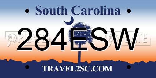 284ESW South Carolina License Plate