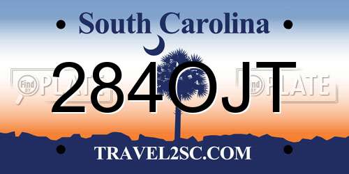 284OJT South Carolina License Plate