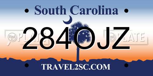 284OJZ South Carolina License Plate