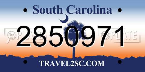 2850971 South Carolina License Plate