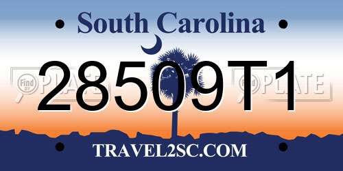 28509T1 South Carolina License Plate