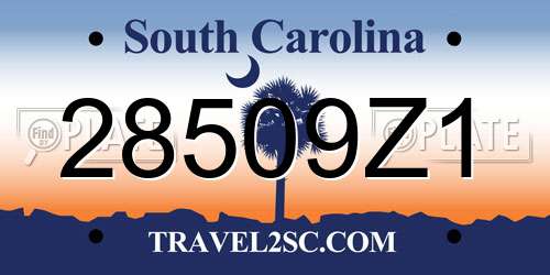28509Z1 South Carolina License Plate