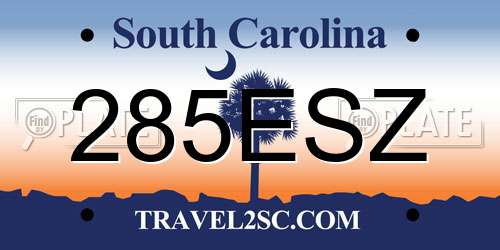 285ESZ South Carolina License Plate