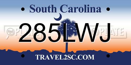 285LWJ South Carolina License Plate