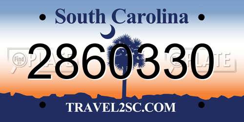 2860330 South Carolina License Plate
