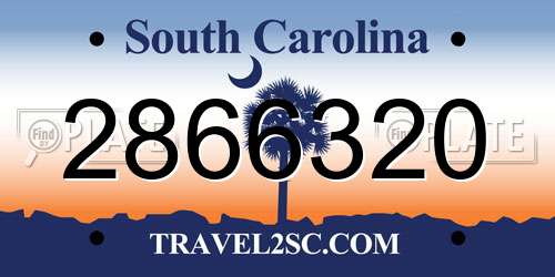 2866320 South Carolina License Plate