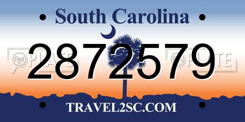 2872579 South Carolina License Plate