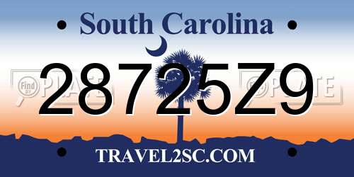 28725Z9 South Carolina License Plate