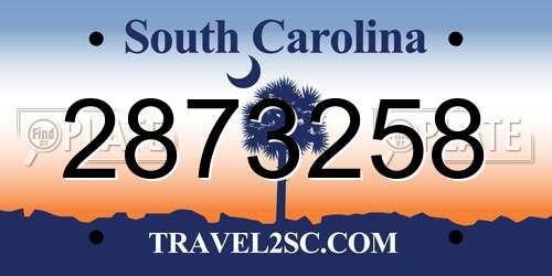 2873258 South Carolina License Plate