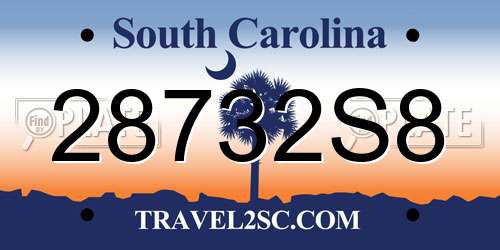 28732S8 South Carolina License Plate