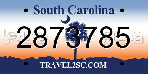 2873785 South Carolina License Plate