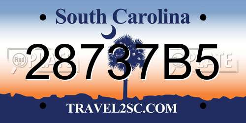 28737B5 South Carolina License Plate