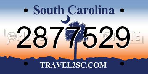 2877529 South Carolina License Plate
