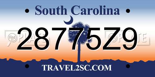 28775Z9 South Carolina License Plate