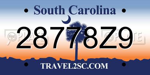 28778Z9 South Carolina License Plate