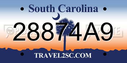 28874A9 South Carolina License Plate
