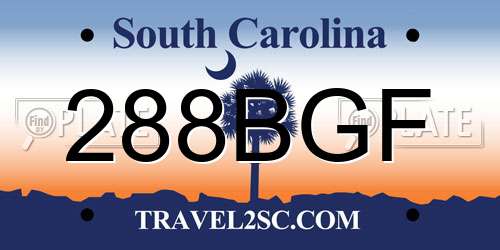 288BGF South Carolina License Plate