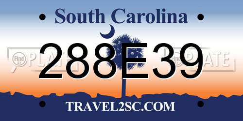 288E39 South Carolina License Plate