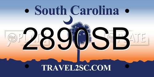 2890SB South Carolina License Plate