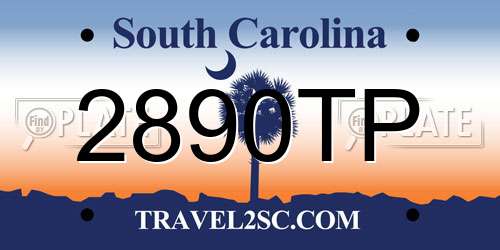 2890TP South Carolina License Plate