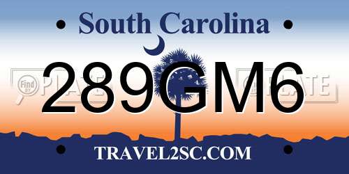 289GM6 South Carolina License Plate