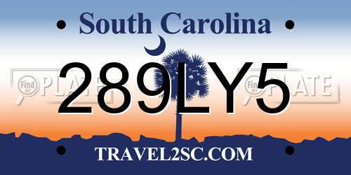289LY5 South Carolina License Plate