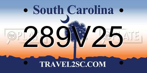 289V25 South Carolina License Plate