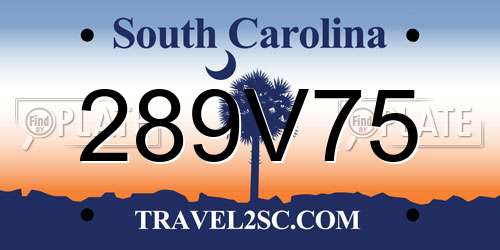 289V75 South Carolina License Plate