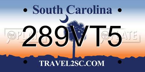 289VT5 South Carolina License Plate
