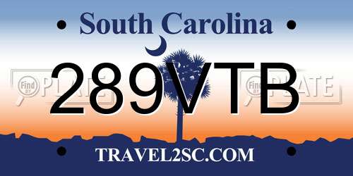 289VTB South Carolina License Plate