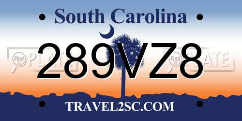 289VZ8 South Carolina License Plate
