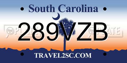 289VZB South Carolina License Plate
