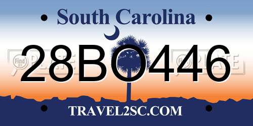 28BO446 South Carolina License Plate