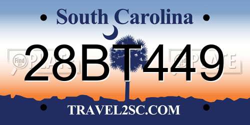 28BT449 South Carolina License Plate