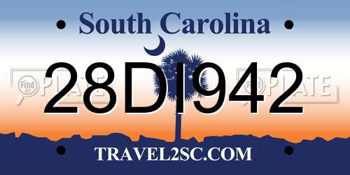 28DI942 South Carolina License Plate