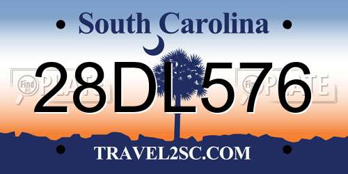 28DL576 South Carolina License Plate