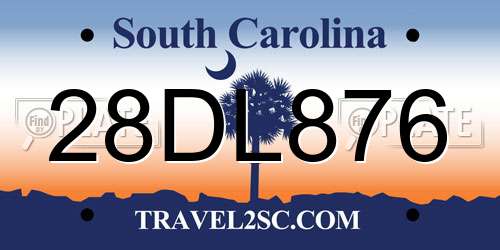 28DL876 South Carolina License Plate