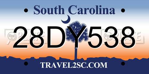28DY538 South Carolina License Plate