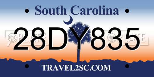 28DY835 South Carolina License Plate