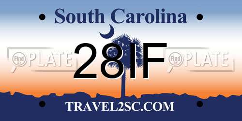 28IF South Carolina License Plate