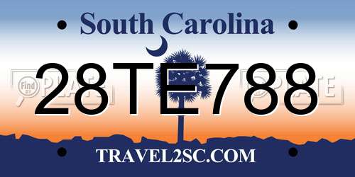 28TE788 South Carolina License Plate