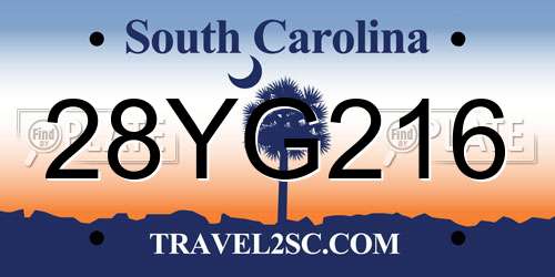 28YG216 South Carolina License Plate