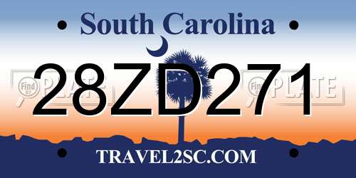 28ZD271 South Carolina License Plate