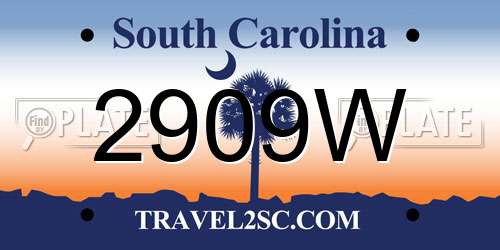 2909W South Carolina License Plate