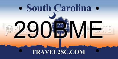 290BME South Carolina License Plate